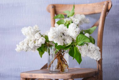 Güzel Eflatun bloom