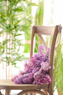 Güzel Eflatun bloom