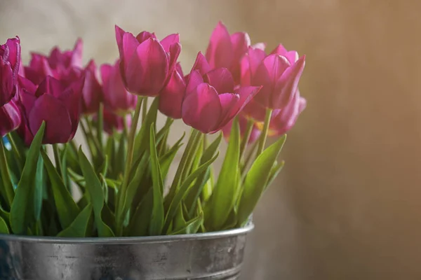 Balde de metal com tulipas — Fotografia de Stock