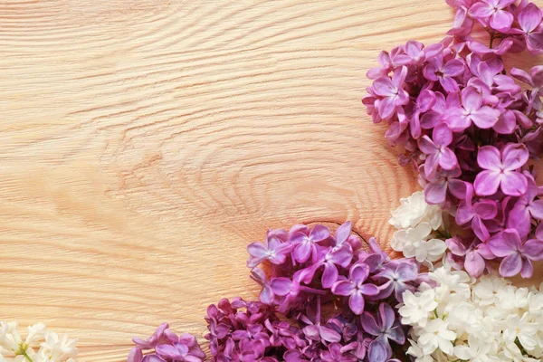 美丽的淡紫色花朵 — 图库照片