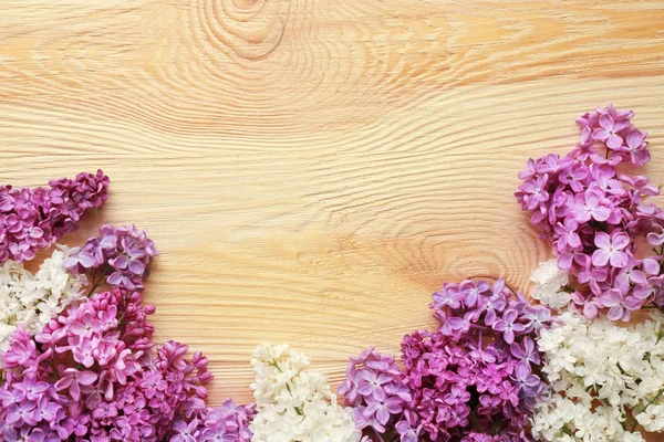 美しいライラック色の花 — ストック写真