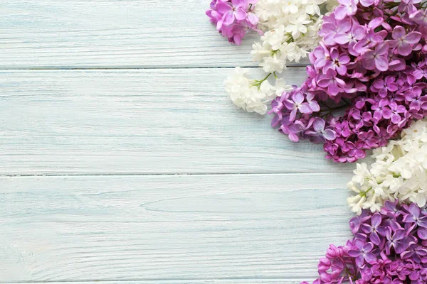 Beautiful lilac flowers — Stock Photo, Image