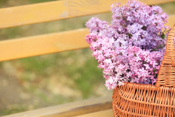 Koš s krásná fialová kytice — Stock fotografie