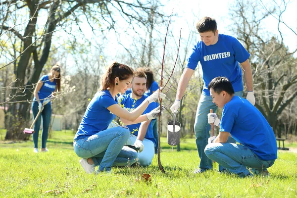 Grupo de voluntarios trabajando en el parque — Foto de Stock