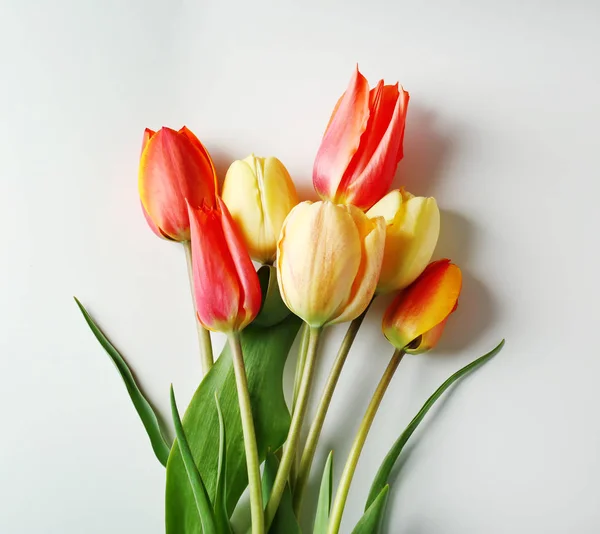 Lindas flores de tulipa — Fotografia de Stock