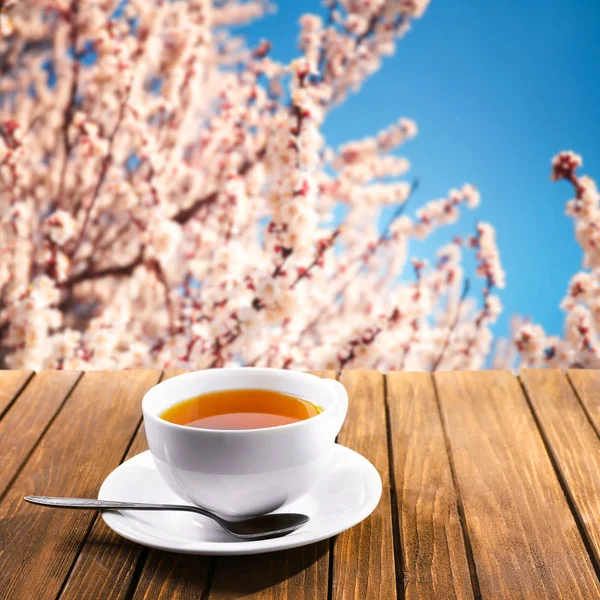 Cup of aromatic tea — Stockfoto