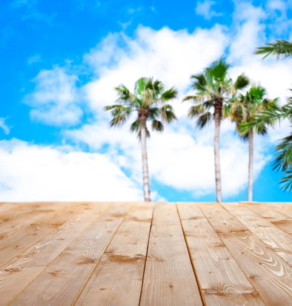 Trä bord och palm träd — Stockfoto