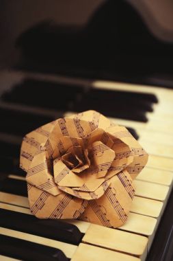 Rose müzik notlar aldım