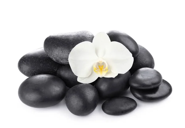 Pedras de spa com flor de orquídea — Fotografia de Stock