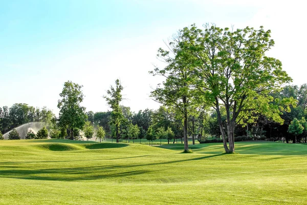 Paysage de champs verts et d'arbres — Photo