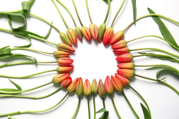 Frame made of beautiful tulips — Stock Photo, Image