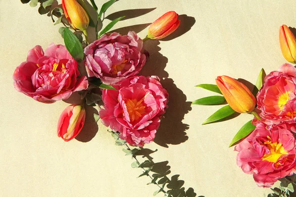 Samenstelling van de mooie tulpen — Stockfoto