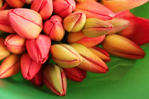 Bukett med friske, røde tulipaner – stockfoto