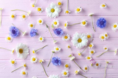 papatya çiçeği ile çiçek kompozisyon