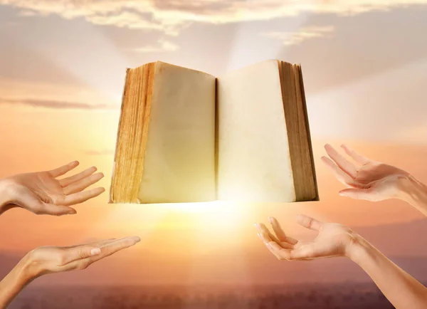 female hands with book