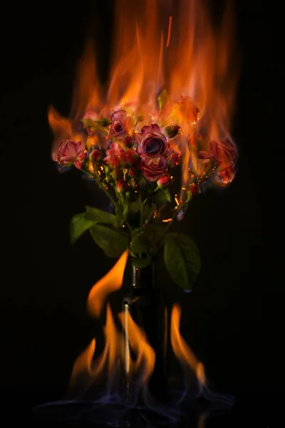 堆的燃烧的玫瑰 — 图库照片