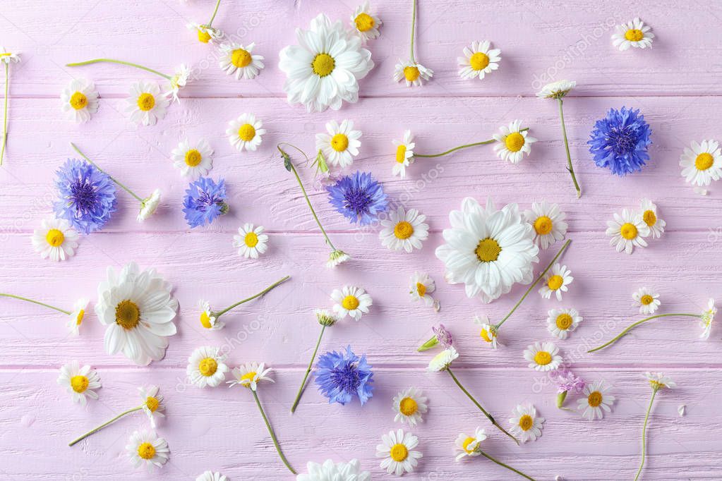 floral composition with chamomile flowers