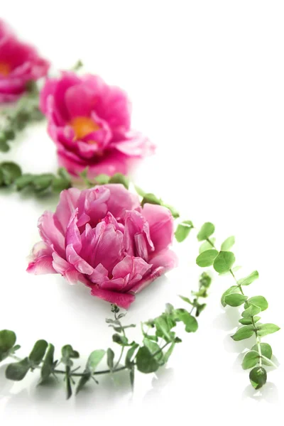 Komposition mit schönen Tulpen — Stockfoto