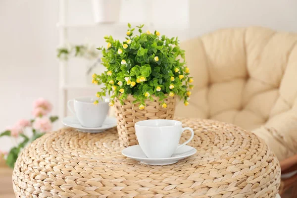 Twee kopjes thee en huis plant — Stockfoto