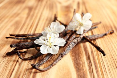 Kurutulmuş vanilya çubukları