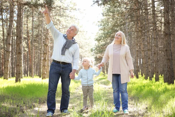 Glückliche Großeltern und Mädchen — Stockfoto