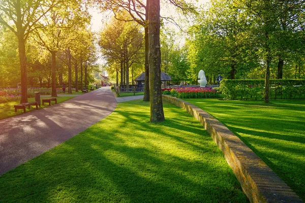 Beautiful spring landscape — Stock Photo, Image