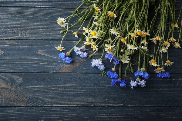 Flori frumoase de luncă — Fotografie, imagine de stoc