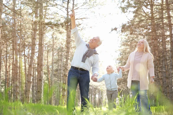 Happy grandparents and girl — Stock Photo, Image