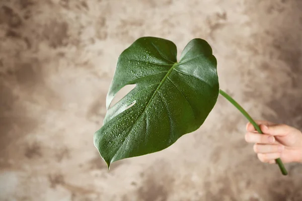 Mano femminile con foglia verde — Foto Stock