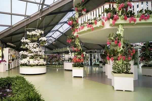 çiçekçiye görünümünü