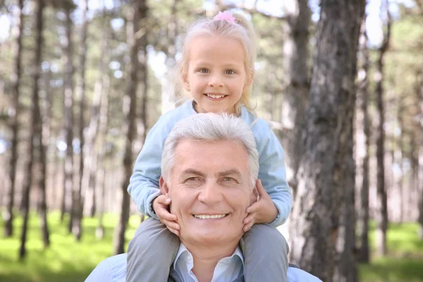 Buon nonno con bambina nella foresta nella giornata di sole — Foto Stock