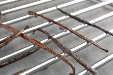 Metal çubukları üzerinde kurutulmuş vanilya çubukları