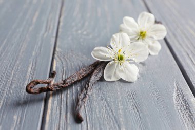 Kurutulmuş vanilya çubukları