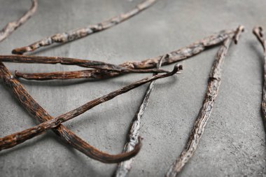 Kurutulmuş vanilya çubukları 