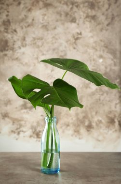 Şişe yeşil tropikal yaprakları ile  