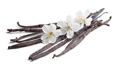 Kurutulmuş vanilya çubukları