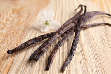 Vanilya çubukları ve çiçek kurutulmuş 
