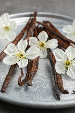 Kurutulmuş vanilya çubukları