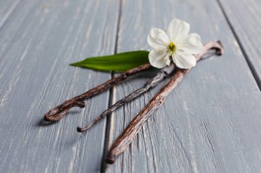 Vanilya çubukları ve çiçek kurutulmuş 