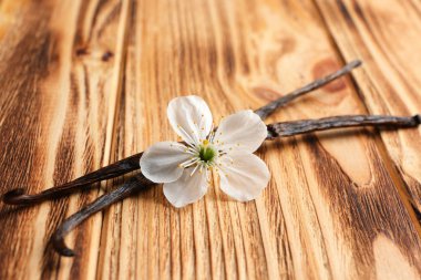 Vanilya çubukları ve çiçek kurutulmuş 