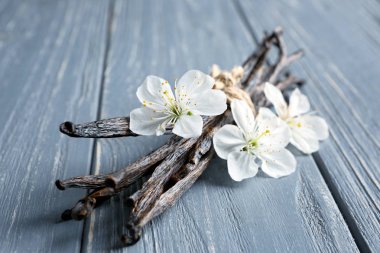 Kurutulmuş vanilya çubukları