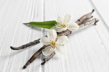 Kurutulmuş vanilya çubukları