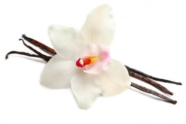 Vanilya çubukları ve çiçek kurutulmuş 