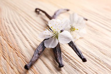 Kurutulmuş vanilya çubukları