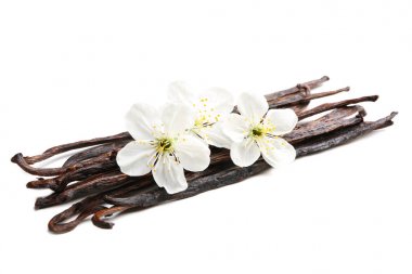 Kurutulmuş vanilya çubukları