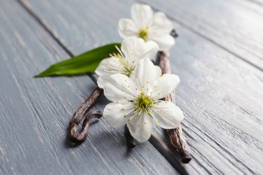 Kurutulmuş vanilya çubukları