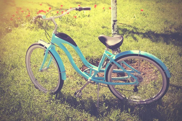 Bicicleta estacionada sobre hierba — Foto de Stock