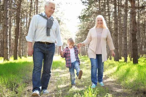 Glückliche Großeltern und Junge — Stockfoto