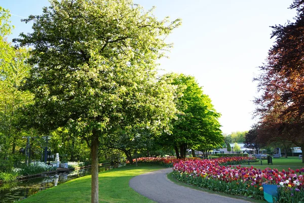 Beautiful alley in park — Stock Photo, Image