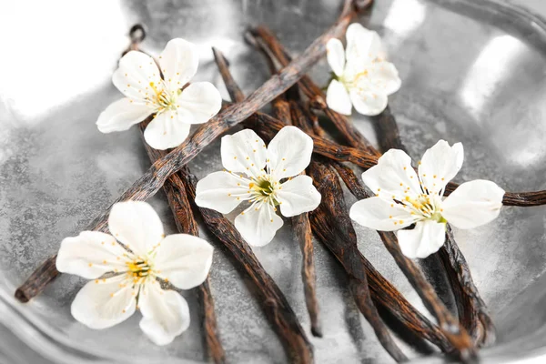 Palitos de baunilha secos — Fotografia de Stock